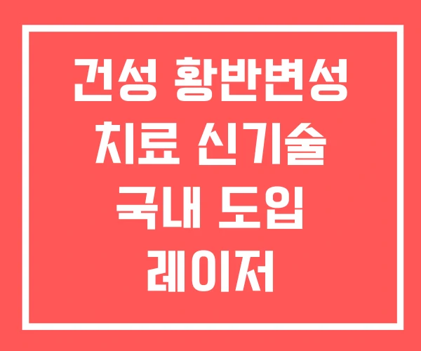 건성 황반변성 치료 신기술 국내 도입 레이저 건성 황반변성 치료 신기술 국내 도입 레이저