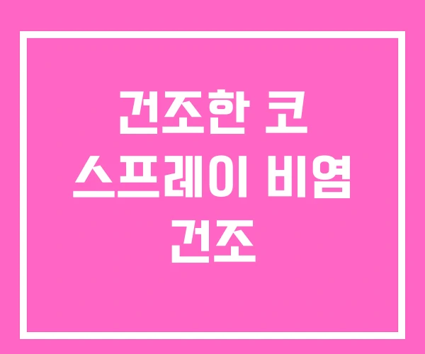 건조한 코 스프레이 비염 건조 건조한 코 스프레이 비염 건조