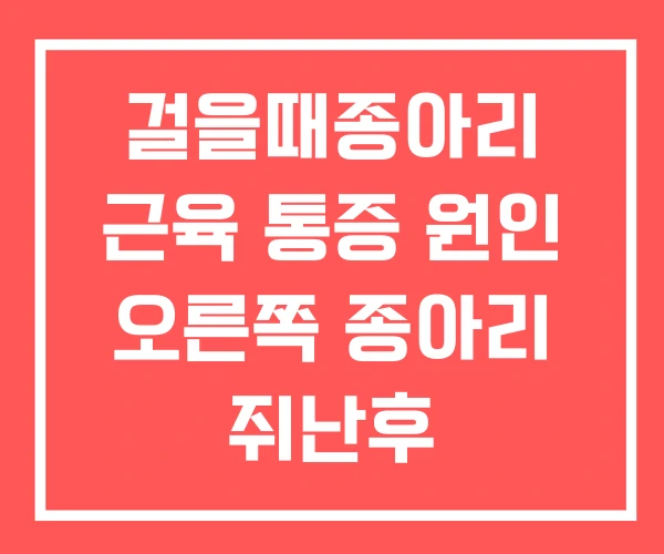 걸을때종아리 근육 통증 원인 오른쪽 종아리 쥐난후 걸을때종아리 근육 통증 원인 오른쪽 종아리 쥐난후