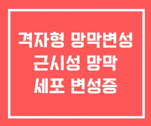 격자형 망막변성 근시성 망막 세포 변성증 격자형 망막변성 근시성 망막 세포 변성증