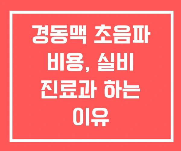 경동맥 초음파 비용, 실비 진료과 하는 이유