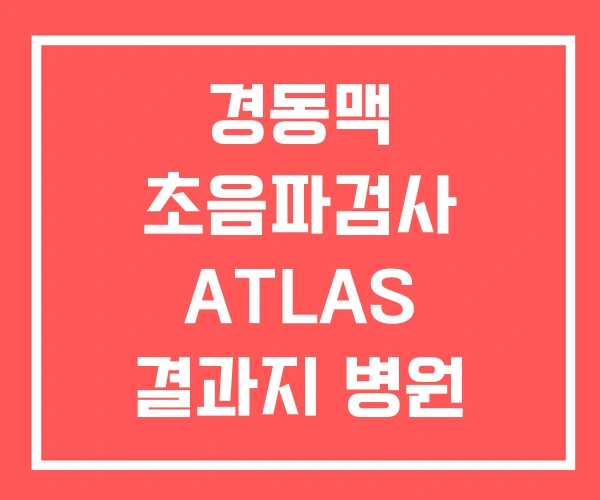 경동맥 초음파검사 ATLAS 결과지 병원 경동맥 초음파검사 ATLAS 결과지 병원