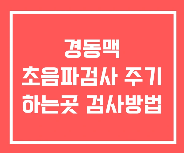경동맥 초음파검사 주기 하는곳 검사방법 경동맥 초음파검사 주기 하는곳 검사방법