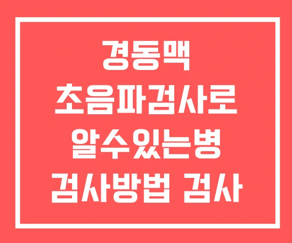경동맥 초음파검사로 알수있는병 검사방법 검사 비용 경동맥 초음파검사로 알수있는병 검사방법 검사 비용