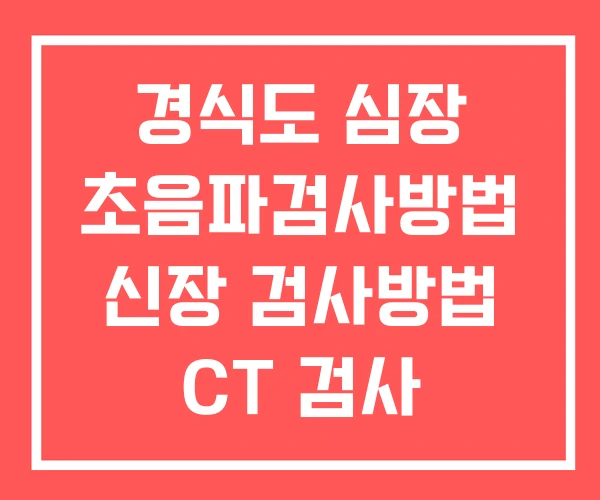 경식도 심장 초음파검사방법 신장 검사방법 CT 검사 경식도 심장 초음파검사방법 신장 검사방법 CT 검사