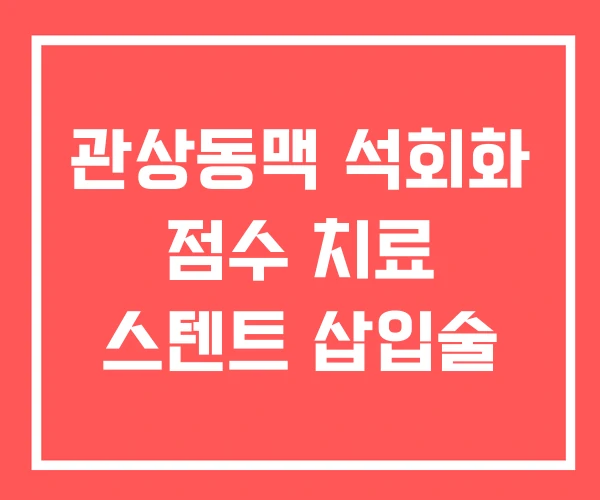관상동맥 석회화 점수 치료 스텐트 삽입술 관상동맥 석회화 점수 치료 스텐트 삽입술
