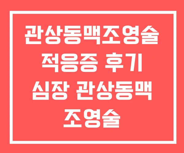 관상동맥조영술 적응증 후기 심장 관상동맥 조영술 관상동맥조영술 적응증 후기 심장 관상동맥 조영술