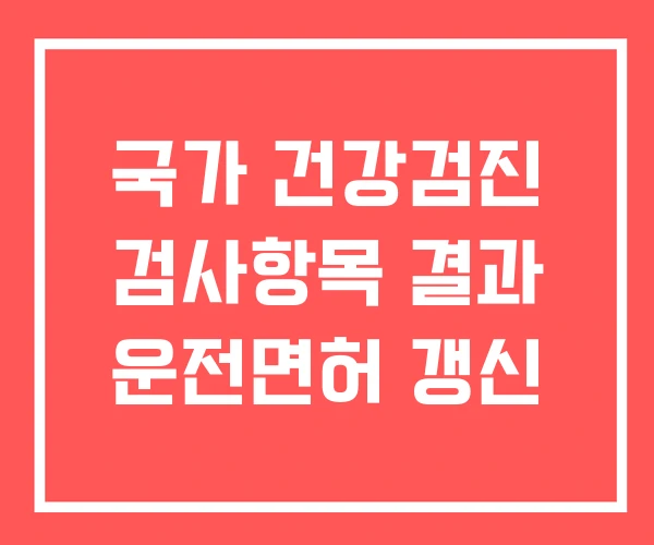 국가 건강검진 검사항목 결과 운전면허 갱신