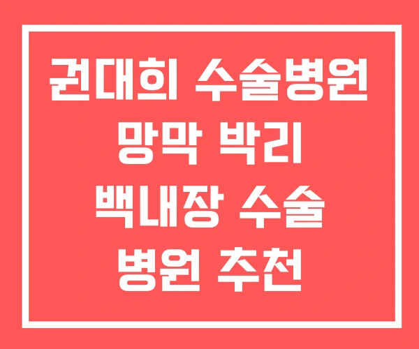 권대희 수술병원 망막 박리 백내장 수술 병원 추천 권대희 수술병원 망막 박리 백내장 수술 병원 추천