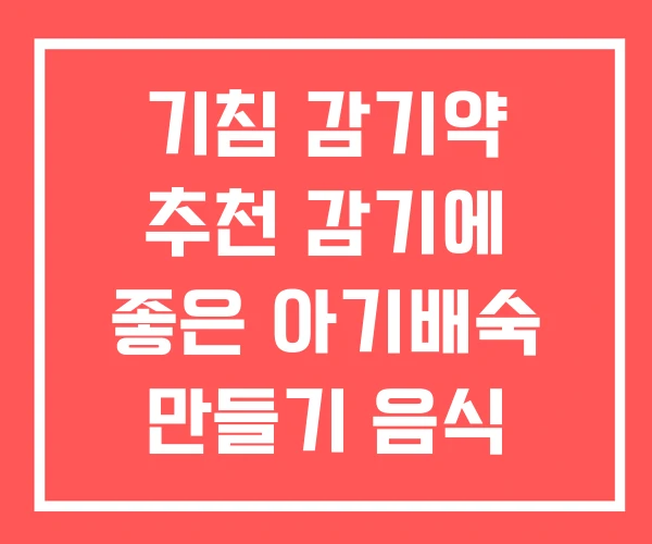 기침 감기약 추천 감기에 좋은 아기배숙 만들기 음식 기침 감기약 추천 감기에 좋은 아기배숙 만들기 음식