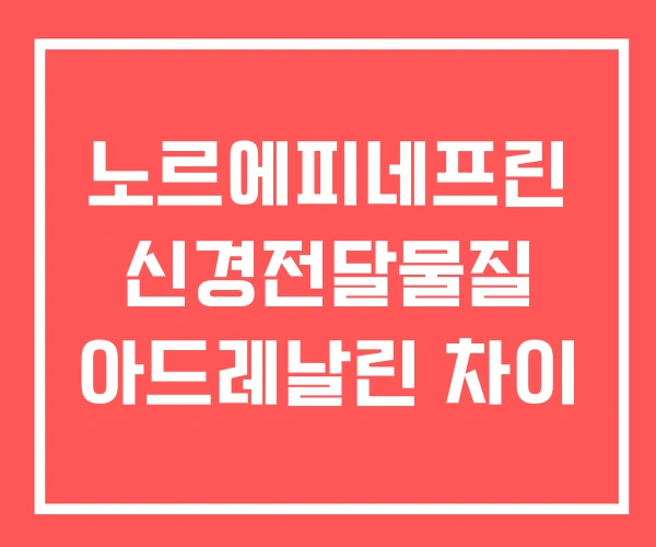 노르에피네프린 신경전달물질 아드레날린 차이 노르에피네프린 신경전달물질 아드레날린 차이