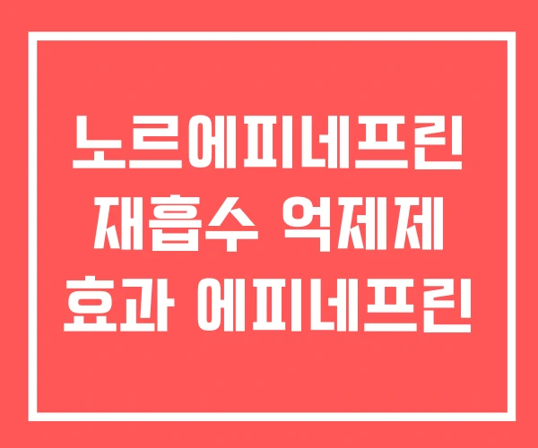 노르에피네프린 재흡수 억제제 효과 에피네프린 노르에피네프린 재흡수 억제제 효과 에피네프린