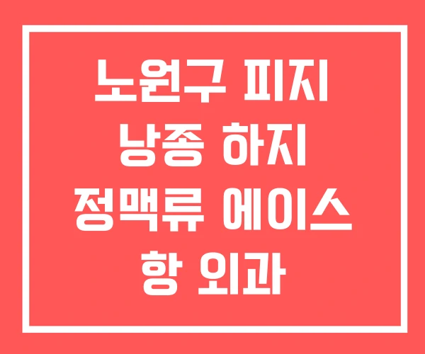 노원구 피지 낭종 하지 정맥류 에이스 항 외과 노원구 피지 낭종 하지 정맥류 에이스 항 외과