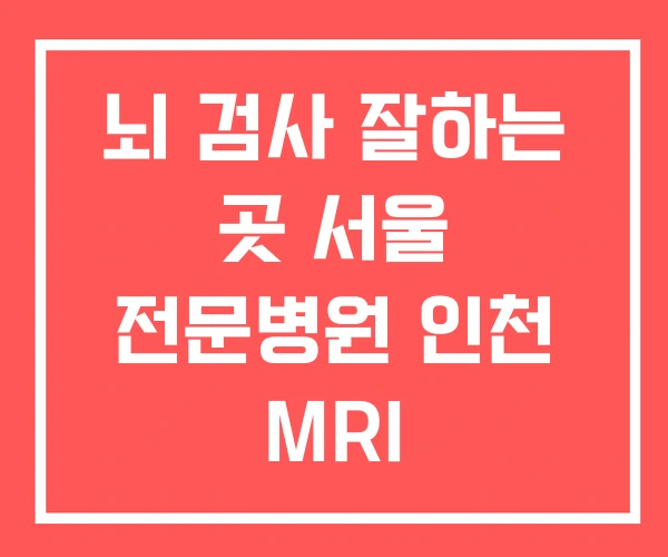 뇌 검사 잘하는 곳 서울 전문병원 인천 MRI 뇌 검사 잘하는 곳 서울 전문병원 인천 MRI