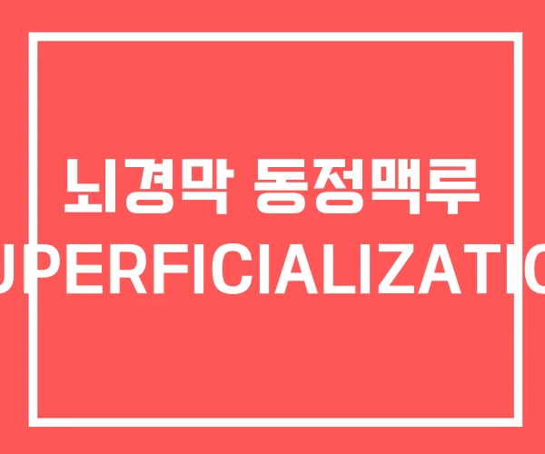 뇌경막 동정맥루 SUPERFICIALIZATION