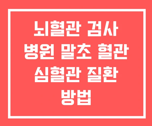 뇌혈관 검사 병원 말초 혈관 심혈관 질환 방법 뇌혈관 검사 병원 말초 혈관 심혈관 질환 방법