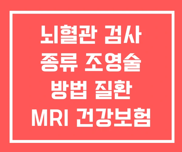 뇌혈관 검사 종류 조영술 방법 질환 MRI 건강보험 적용 뇌혈관 검사 종류 조영술 방법 질환 MRI 건강보험 적용