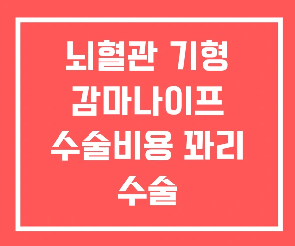 뇌혈관 기형 감마나이프 수술비용 꽈리 수술 뇌혈관 기형 감마나이프 수술비용 꽈리 수술