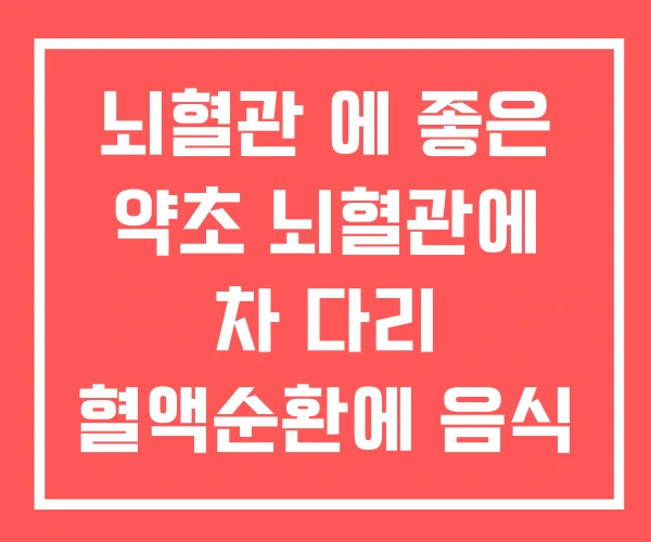 뇌혈관 에 좋은 약초 뇌혈관에 차 다리 혈액순환에 음식 뇌혈관 에 좋은 약초 뇌혈관에 차 다리 혈액순환에 음식