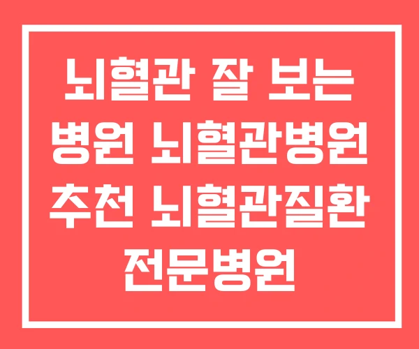 뇌혈관 잘 보는 병원 뇌혈관병원 추천 뇌혈관질환 전문병원