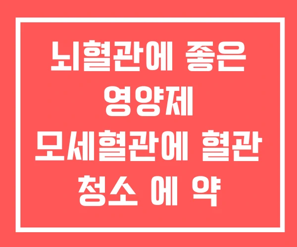 뇌혈관에 좋은 영양제 모세혈관에 혈관 청소 에 약