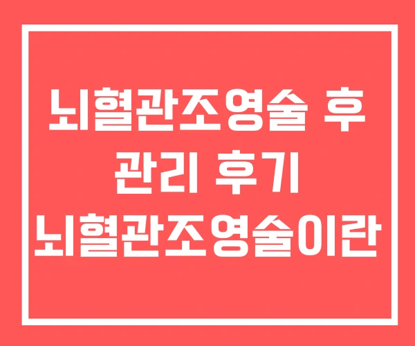 뇌혈관조영술 후 관리 후기 뇌혈관조영술이란 뇌혈관조영술 후 관리 후기 뇌혈관조영술이란