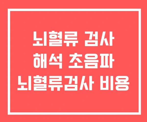 뇌혈류 검사 해석 초음파 뇌혈류검사 비용