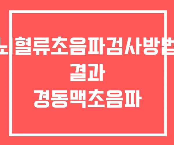 뇌혈류초음파검사방법 결과 경동맥초음파 뇌혈류초음파검사방법 결과 경동맥초음파