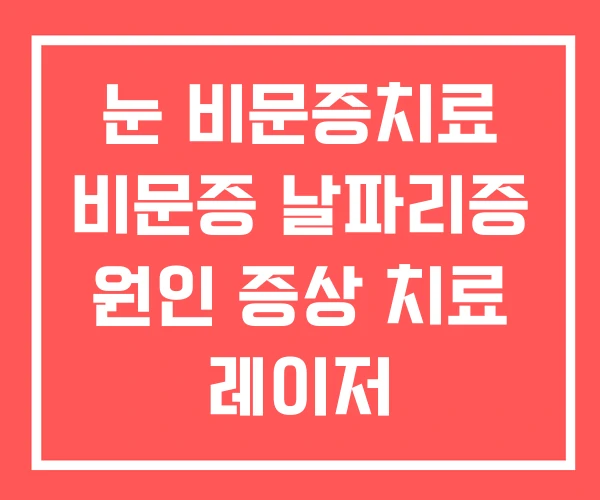 눈 비문증치료 비문증 날파리증 원인 증상 치료 레이저 눈 비문증치료 비문증 날파리증 원인 증상 치료 레이저