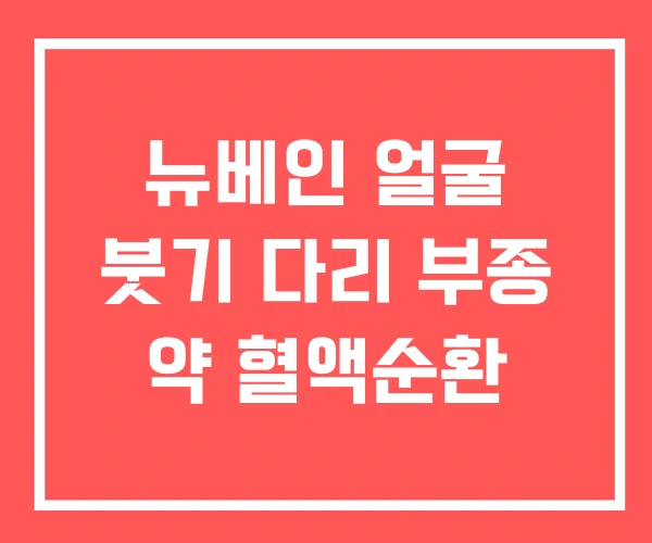 뉴베인 얼굴 붓기 다리 부종 약 혈액순환 뉴베인 얼굴 붓기 다리 부종 약 혈액순환