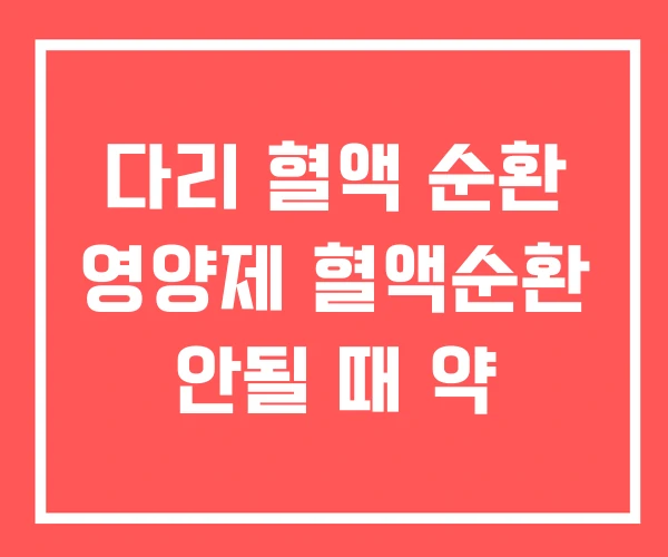 다리 혈액 순환 영양제 혈액순환 안될 때 약