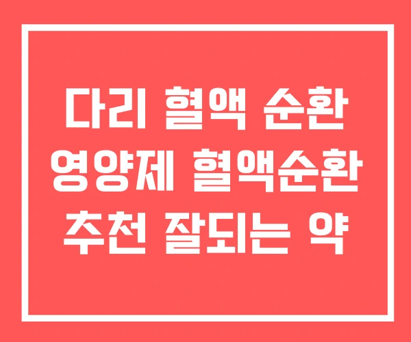 다리 혈액 순환 영양제 혈액순환 추천 잘되는 약