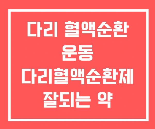 다리 혈액순환 운동 다리혈액순환제 잘되는 약 다리 혈액순환 운동 다리혈액순환제 잘되는 약