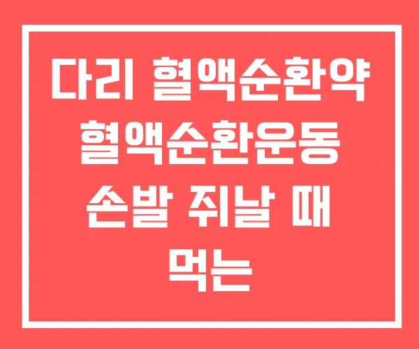 다리 혈액순환약 혈액순환운동 손발 쥐날 때 먹는 다리 혈액순환약 혈액순환운동 손발 쥐날 때 먹는