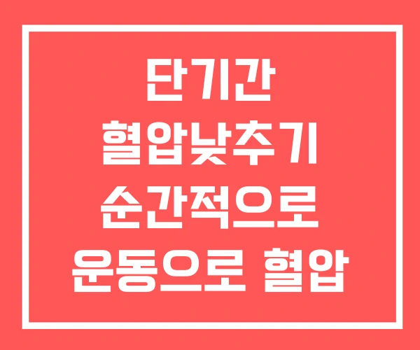 단기간 혈압낮추기 순간적으로 운동으로 혈압 낮추기 단기간 혈압낮추기 순간적으로 운동으로 혈압 낮추기