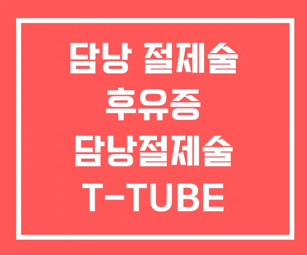 담낭 절제술 후유증 담낭절제술 T-TUBE 영어로 담낭 절제술 후유증 담낭절제술 T-TUBE 영어로