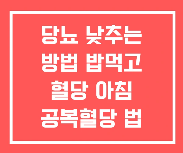당뇨 낮추는 방법 밥먹고 혈당 아침 공복혈당 법 당뇨 낮추는 방법 밥먹고 혈당 아침 공복혈당 법