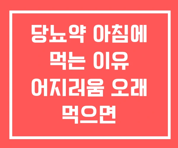 당뇨약 아침에 먹는 이유 어지러움 오래 먹으면