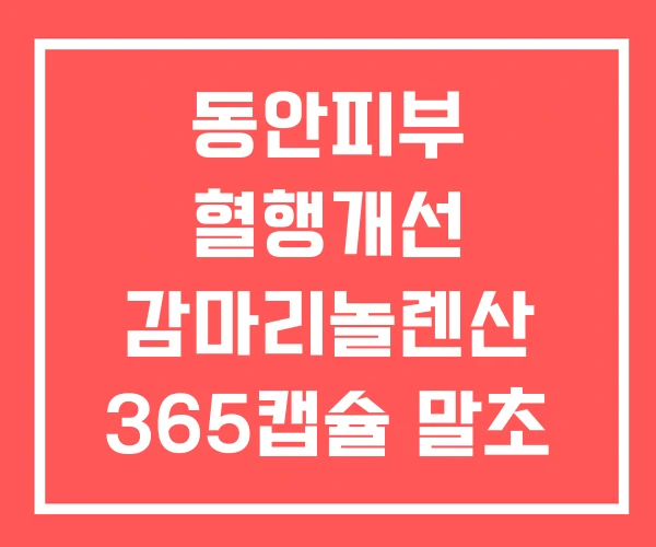동안피부 혈행개선 감마리놀렌산 365캡슐 말초 혈행개선제 동안피부 혈행개선 감마리놀렌산 365캡슐 말초 혈행개선제