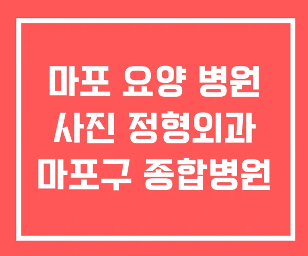 마포 요양 병원 사진 정형외과 마포구 종합병원