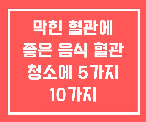 막힌 혈관에 좋은 음식 혈관 청소에 5가지 10가지