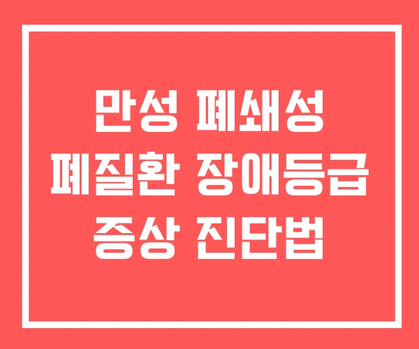 만성 폐쇄성 폐질환 장애등급 증상 진단법 만성 폐쇄성 폐질환 장애등급 증상 진단법