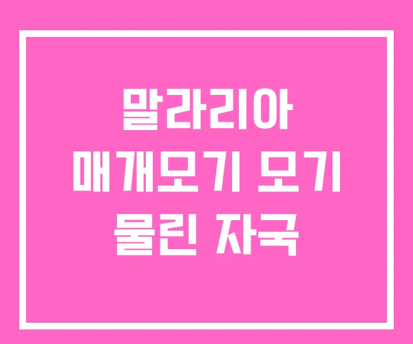 말라리아 매개모기 모기 물린 자국 말라리아 매개모기 모기 물린 자국