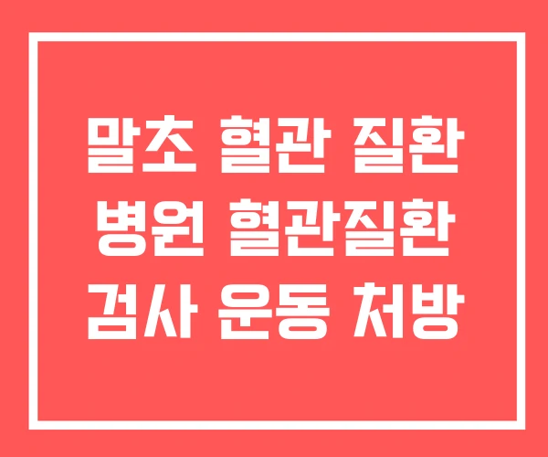 말초 혈관 질환 병원 혈관질환 검사 운동 처방 말초 혈관 질환 병원 혈관질환 검사 운동 처방