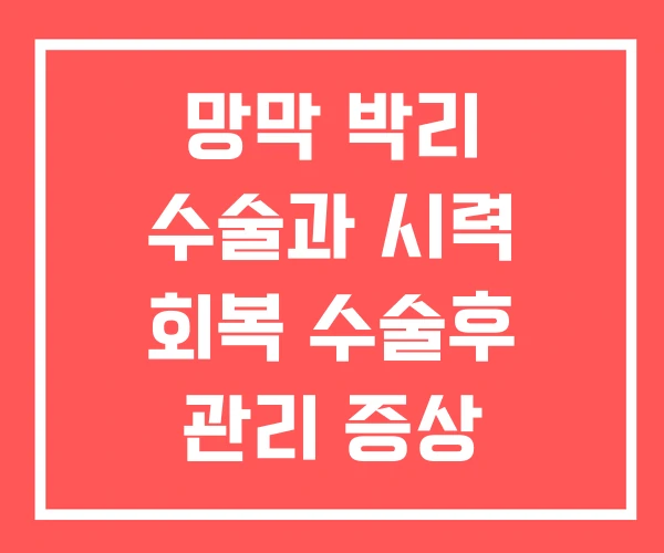 망막 박리 수술과 시력 회복 수술후 관리 증상 망막 박리 수술과 시력 회복 수술후 관리 증상