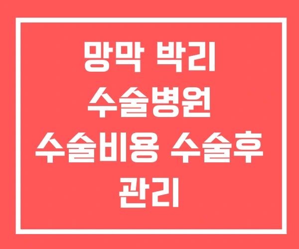 망막 박리 수술병원 수술비용 수술후 관리 망막 박리 수술병원 수술비용 수술후 관리