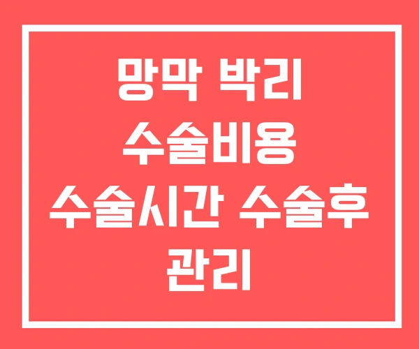 망막 박리 수술비용 수술시간 수술후 관리 망막 박리 수술비용 수술시간 수술후 관리