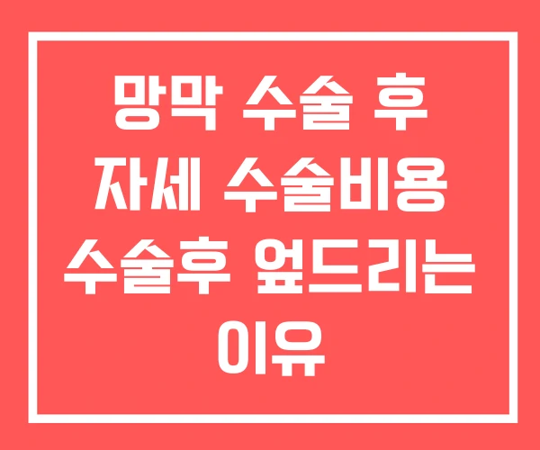 망막 수술 후 자세 수술비용 수술후 엎드리는 이유 망막 수술 후 자세 수술비용 수술후 엎드리는 이유