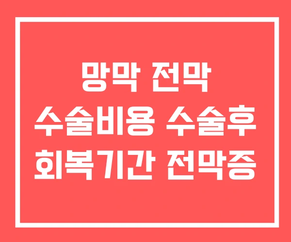 망막 전막 수술비용 수술후 회복기간 전막증