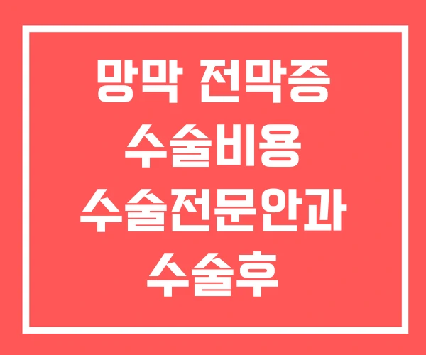 망막 전막증 수술비용 수술전문안과 수술후 망막 전막증 수술비용 수술전문안과 수술후